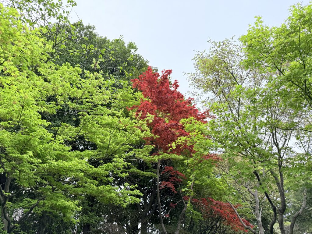 Mejiro Teien Garden