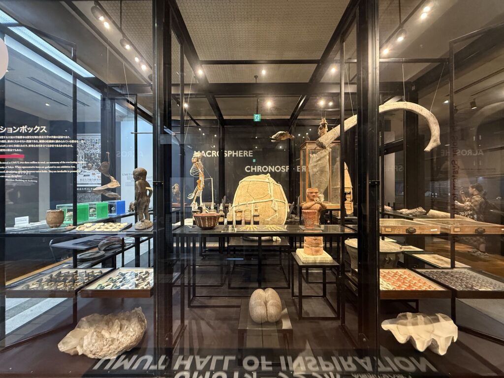 The University Museum, The University of Tokyo
