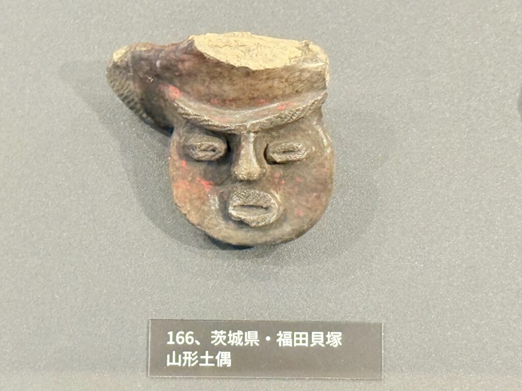 The University Museum, The University of Tokyo