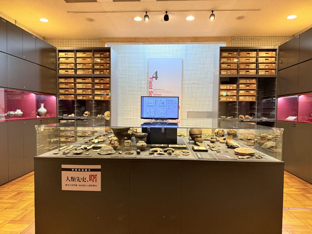 The University Museum, The University of Tokyo