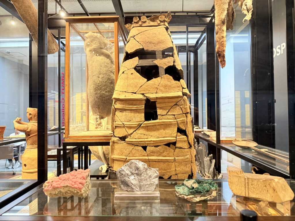 The University Museum, The University of Tokyo
