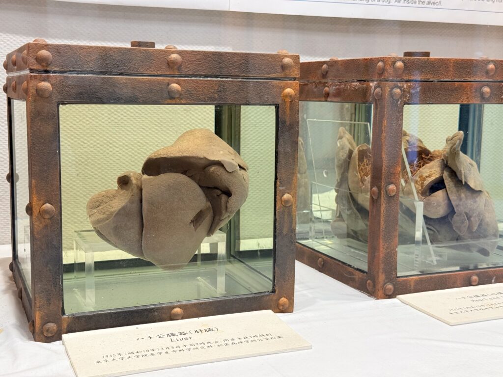 The Agricultural Museum, The University of Tokyo