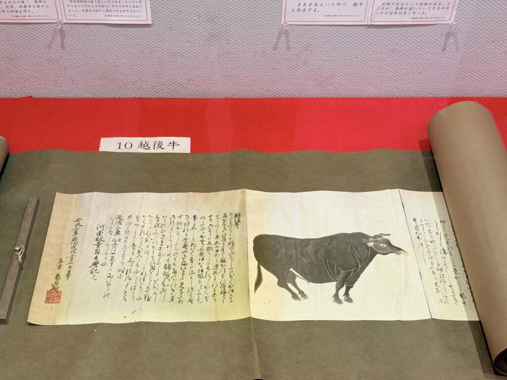 The Agricultural Museum, The University of Tokyo